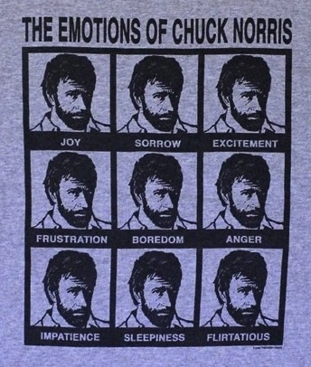 My "The Emotions of Chuck Norris" Shirt - Click to buy this majestic garment for your very own.