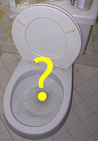 Toilet Question